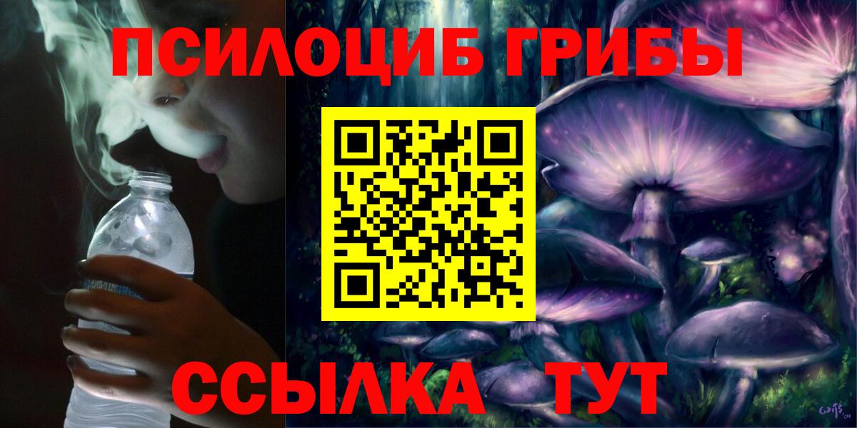 Галлюциногенные грибы прущие грибы  где можно купить   Братск  Вход с VPN 